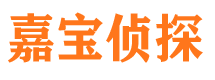 成安市侦探调查公司